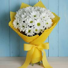 Букет цветов из:  Хризантемы в Петропавловской Краснодарского края