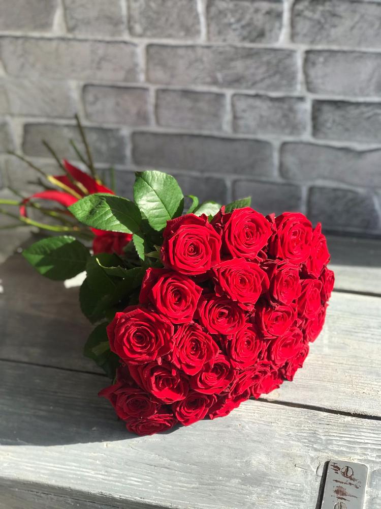 Букет Красные розы Фридом в Петропавловской Краснодарского края