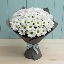 Букет цветов из:  Хризантемы в Петропавловской Краснодарского края
