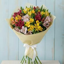 Букет цветов из:  Альстромерии #REPLACE_PRED# Петропавловской Краснодарского края