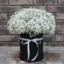 Цветочная композиция из Гипсофила в шляпной коробке в Петропавловской Краснодарского края